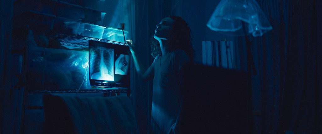 La Pecera: una meditación sobre la autonomía, el duelo y la&nbsp;invasión